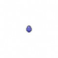/products/purple-drake-egg/